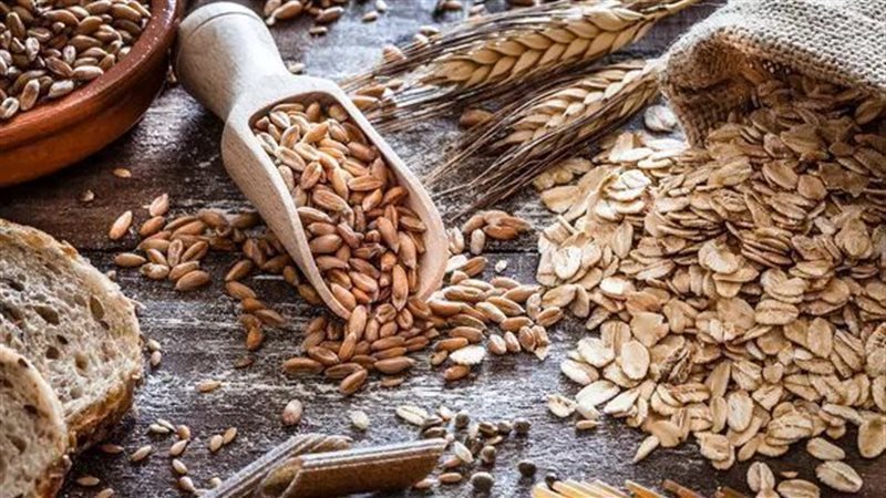 أسعار الشوفان اليوم،