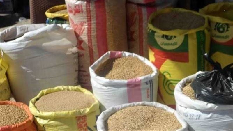 سعر الذرة وأعلاف