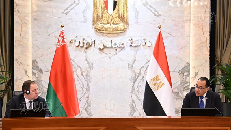 المباحثات المصرية