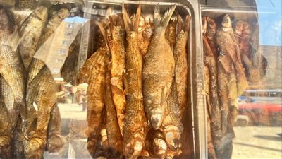 تزامنا مع شم النسيم، إعدام 33 كيلو جرام من الرنجة الفاسدة بالقليوبية 