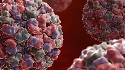 فيروس شديد العدوى يهدد سفينتين أمريكيتين ومراكز السيطرة على الأمراض تحقق