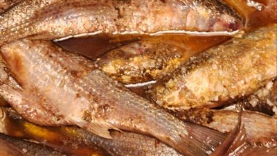 ضبط نصف طن أسماك مملحة فاسدة قبل طرحها بالأسواق في الإسماعيلية (صور) 