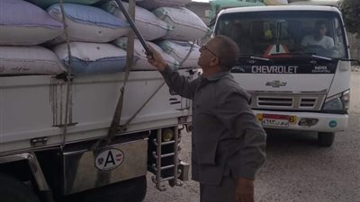 شون وصوامع البحيرة تستقبل 63 ألفا و411 طن قمح 