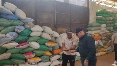 آخر إحصاء، شون وصوامع البحيرة تستقبل 63411 طن قمح 