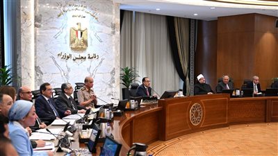 قرار عاجل لمجلس الوزراء بشأن استيراد السيارات من الخارج 