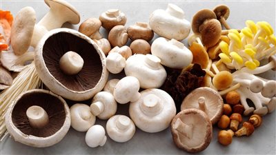 اهمها الحفاظ على صحة القلب، الفوائد الغذائية لتناول المشروم