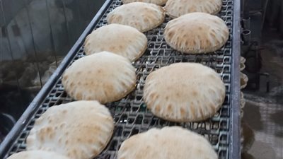 تحرير 2324 محضرا لمخابز بلدية وسياحية بالبحيرة