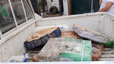 روائح كريهه كشفتهم، ضبط 2 طن لحوم فاسدة داخل ثلاجة تعيد تدوير اللحوم بالقليوبية 