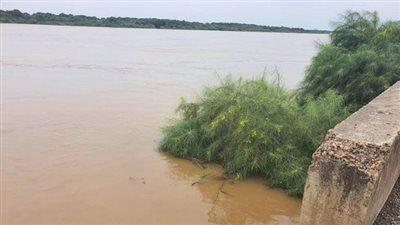 باحث بالشأن الإفريقي يزف بشرى قادمة لمصر بشأن مياه النيل 