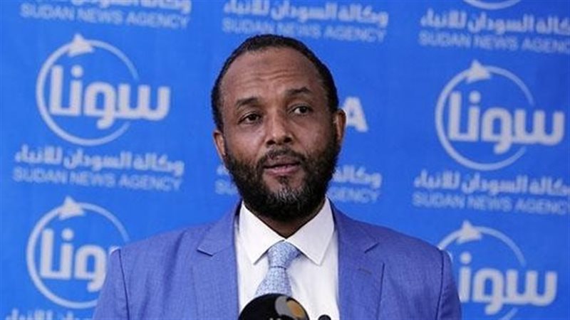هيثم إبراهيم وزير