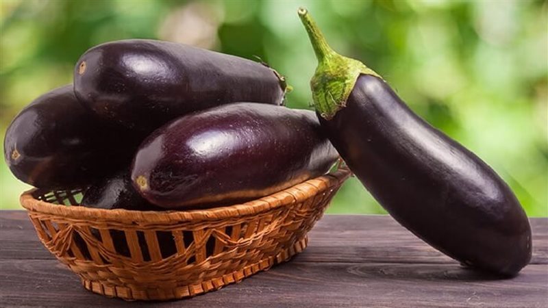 فوائد الباذنجان،