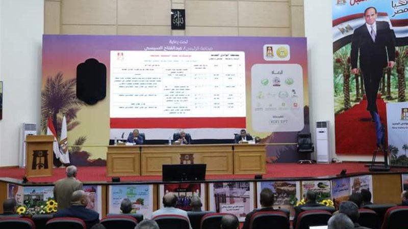 المجلس التنفيذي للوادي
