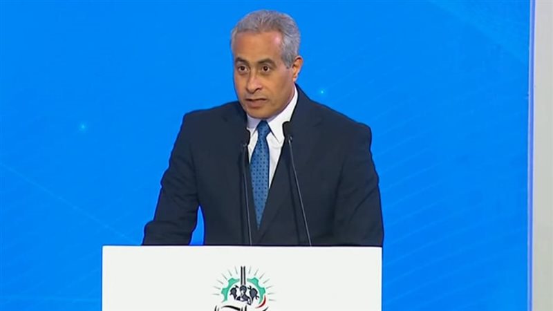 حسن شحاتة وزير العمل