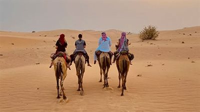  تفسير حلم ركوب الجمل في المنام وعلاقته بالتغلب على الأعداء 