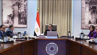 رئيس الوزراء يستعرض عددًا من ملفات عمل وزارة المالية 