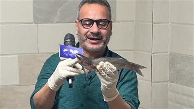 بمناسبة شم النسيم، كواليس حلقة 