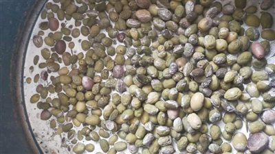 تموين الفيوم تتحفظ على 5 أطنان مخللات فاسدة