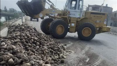 انقلاب سيارة بنجر على طريق المنصورة - جمصة (صور)