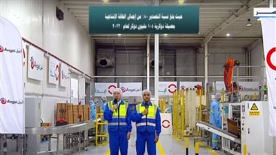 شادي شرف يكشف أهداف صندوق النيل الصناعي (فيديو)