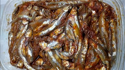 طريقة تخليل البساريا فى 3 أيام فقط