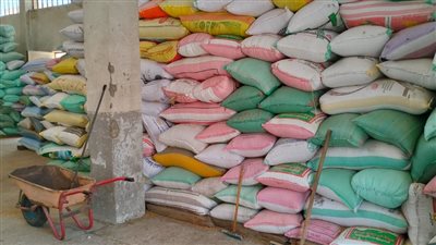 شون وصوامع البحيرة تستقبل 82.5 ألف طن قمح