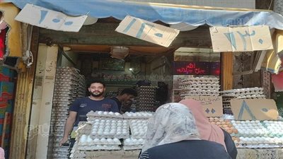الكرتونة بـ 80 جنيها، مبادرة جديدة في الشرقية لتخفيض أسعار البيض (فيديو وصور) 