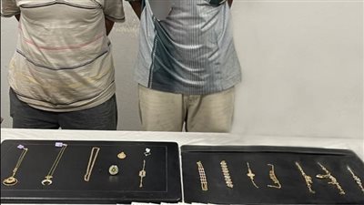 الأمن العام يضبط 8 لصوص لارتكابهم جرائم سرقات في المنيا وأسوان 