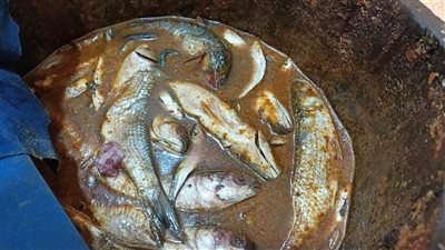 ضبط 150 كرتونة أسماك غير صالحة للاستهلاك الآدمي بالبحيرة