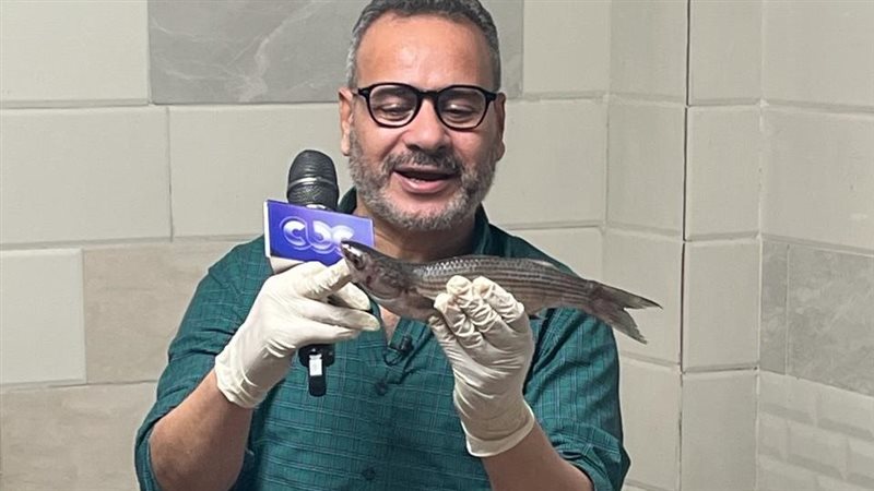 جابر القرموطي، فيتو