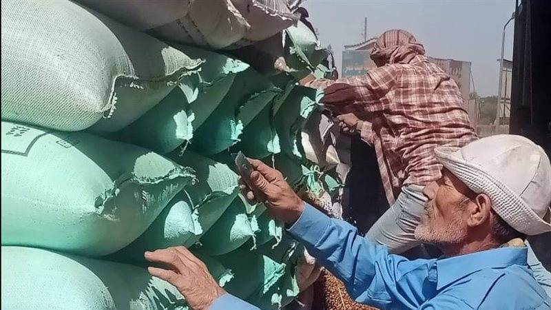 موسم توريد القمح
