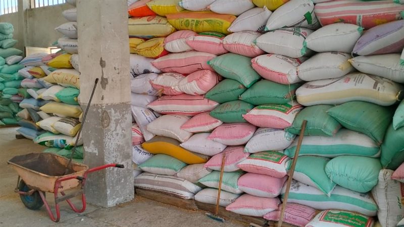 موسم حصاد القمح بالبحيرة،