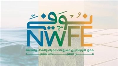 المنتدى الاقتصادي العالمي يُروج لبرنامج «نوفي» وجهود مصر في التحول للطاقة المتجددة