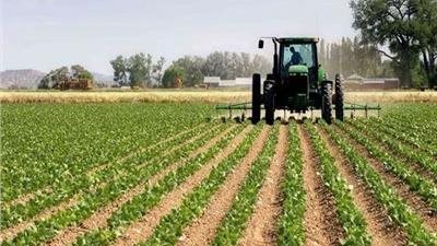  64 مليون دولار، الزراعة تستعد لبدء مشروع التحول المستدام بالصعيد (إنفوجراف)