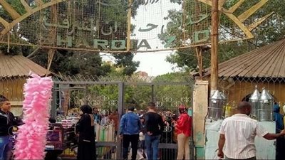 مدير حديقة الحيوان بالإسكندرية: استقبال 14 ألف زائر خلال أول يومين بعيد الأضحى (فيديو)