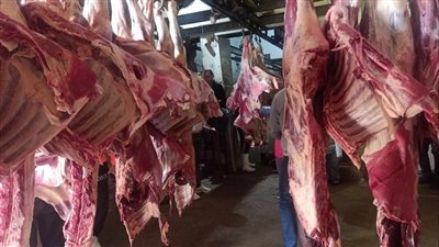 أسعار اللحوم اليوم، انخفاض الكندوز وارتفاع الضاني والبتلو في الأسواق