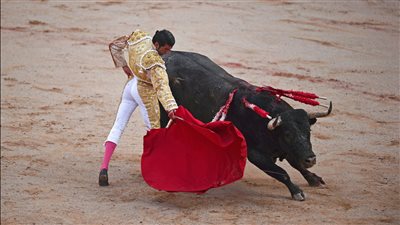 تقليد يعود لقرون، إسبانيا تلغي مصارعة الثيران وسط غضب المحافظين