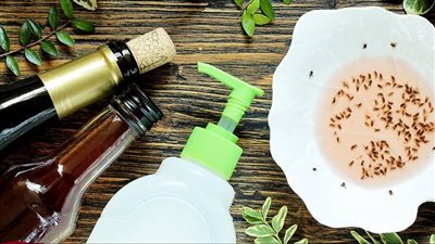 طرق التخلص من الناموس، بدون مبيدات كيميائية