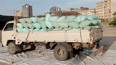 توريد 91 ألف طن قمح لشون وصوامع البحيرة 