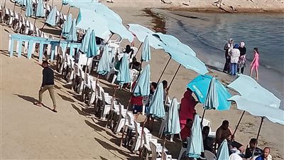 رفع الرايات الخضراء على شواطئ شرق والحمراء بغرب الإسكندرية 