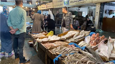 اتحاد الغرف التجارية: تراجع غير مسبوق في أسعار الأسماك بالأسواق