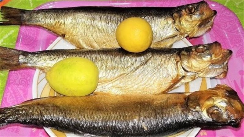 شعبة المواد الغذائية