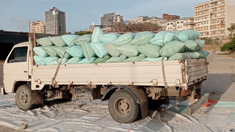 توريد القمح بالبحيرة،