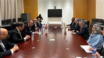 وزيرا خارجية مصر وباكستان يؤكدان أهمية الوقف الفوري والدائم لإطلاق النار في غزة 