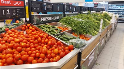 البامية بـ 100 جنيه والبصل السكري يسجل 65 جنيهًا، ننشر أسعار الخضراوات بالأسواق (صور)