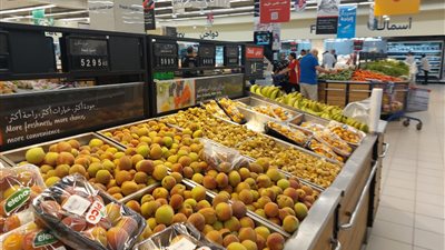 بـ 300 جنيه للكيلو.. الأفوكادو أغلى الفواكه في السوق المصري (انفوجراف)