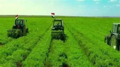 أولويات‭ ‬خارطة‭ ‬طريق‭ ‬مصر.. إيهاب‭ ‬بسطاوى‭: ‬تشكيل‭ ‬حكومة‭ ‬جديدة‭ ‬تحمل‭ ‬فكرًا‭ ‬وآليات‭ ‬تنفيذ‭ ‬ورؤية.. جودة‭ ‬عبد‭ ‬الخالق‭: ‬تطوير‭ ‬الزراعة‭ ‬والصناعة‭ ‬وترشيد‭ ‬الإنفاق‭..