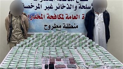 حبس 3 عناصر إجرامية بتهمة الاتجار بمخدر التامول في مطروح