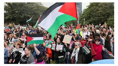 وصلت أيرلندا وسويسرا، توسع الاحتجاجات الطلابية المناهضة للعدوان الإسرائيلي على غزة