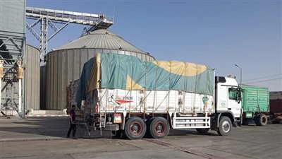 توريد 147 ألف طن قمح لشون وصوامع الوادي الجديد 