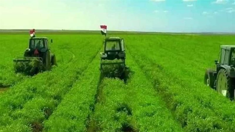 مشروع توشكي